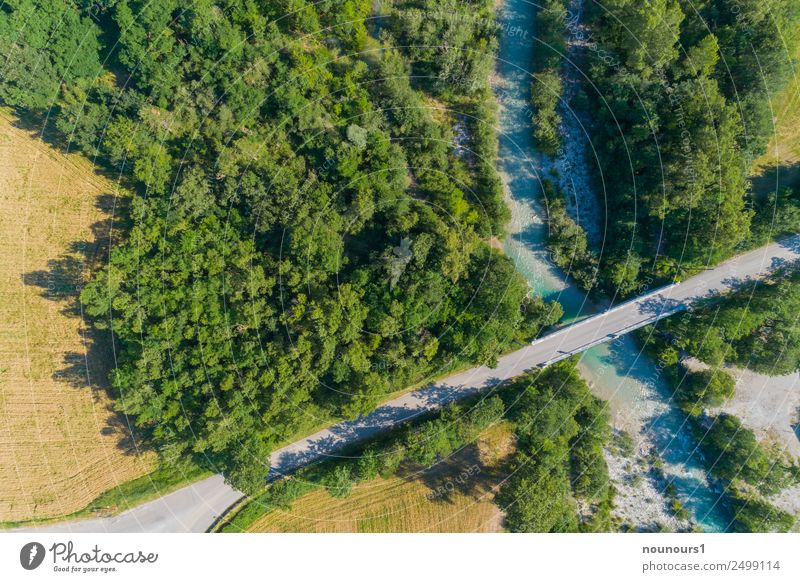 Brücke über die Roanne Natur Landschaft Wasser Sommer Baum Blume Flussufer Menschenleer Bauwerk Straßenverkehr grau grün Farbfoto mehrfarbig Außenaufnahme