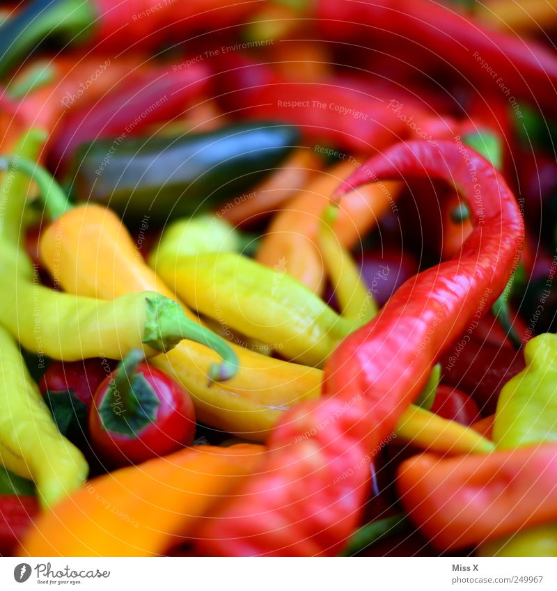 Scharf und bunt im Q Lebensmittel Gemüse Kräuter & Gewürze Ernährung Bioprodukte Vegetarische Ernährung Asiatische Küche frisch lecker mehrfarbig gelb rot