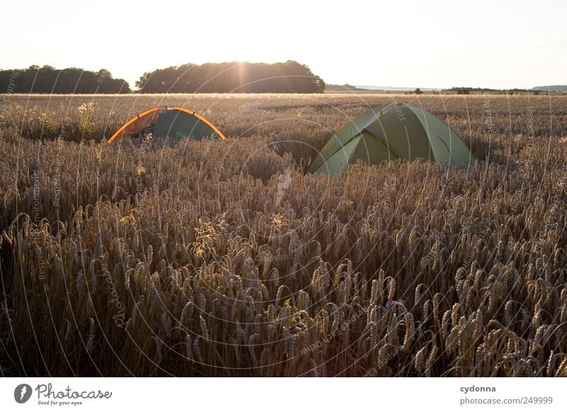 Draußen zuhause Lifestyle harmonisch Wohlgefühl Erholung ruhig Freizeit & Hobby Ferien & Urlaub & Reisen Ausflug Abenteuer Ferne Freiheit Camping Umwelt Natur