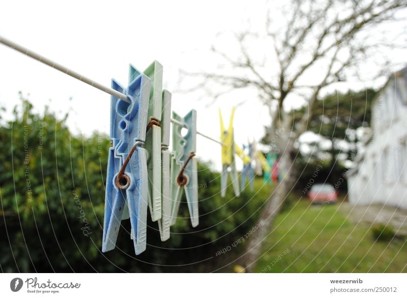 Im Meerwind trocknet die Wäsche gut. Baum Hecke Garten Haus Wäscheklammern Wäscheleine Schwimmen & Baden entdecken genießen hängen Reinigen Duft eckig einfach