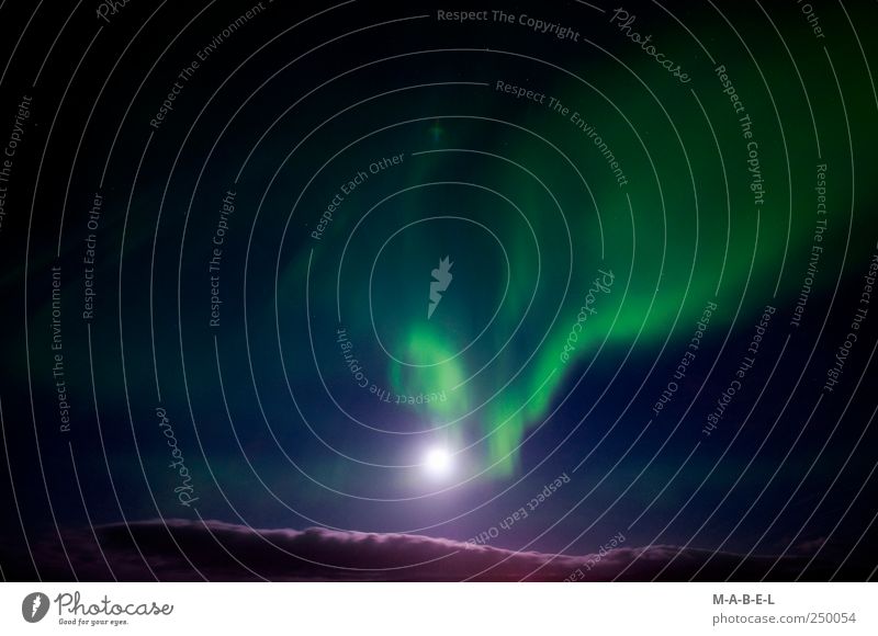 Notherlight Umwelt Natur Landschaft Himmel Nachthimmel Vollmond Lebensfreude Farbfoto Außenaufnahme Menschenleer Gegenlicht Langzeitbelichtung