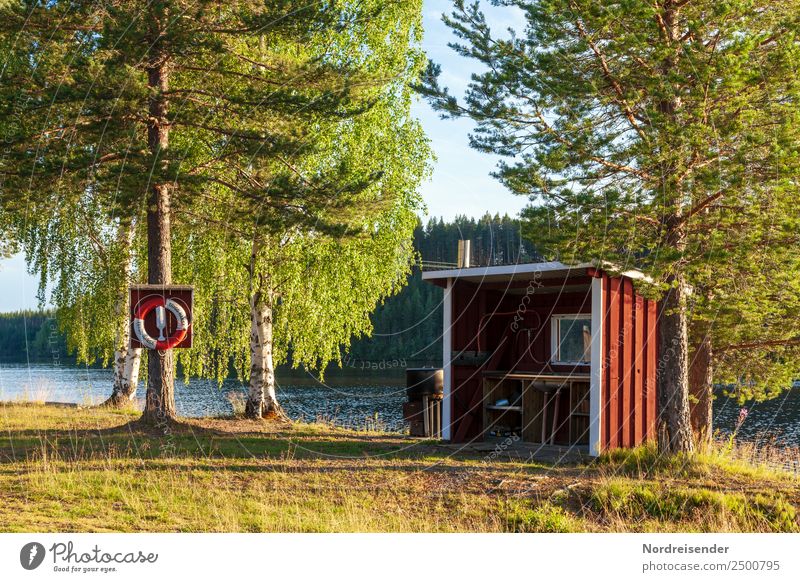 Küche Outdoor Ferien & Urlaub & Reisen Abenteuer Freiheit Camping Sommerurlaub Natur Landschaft Schönes Wetter Baum Gras Wald Seeufer Hütte Schwimmen & Baden