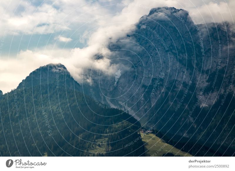 Nebel am Morgen Ferien & Urlaub & Reisen Tourismus Ausflug Abenteuer Ferne Freiheit Expedition Berge u. Gebirge wandern Umwelt Natur Landschaft Pflanze Sommer