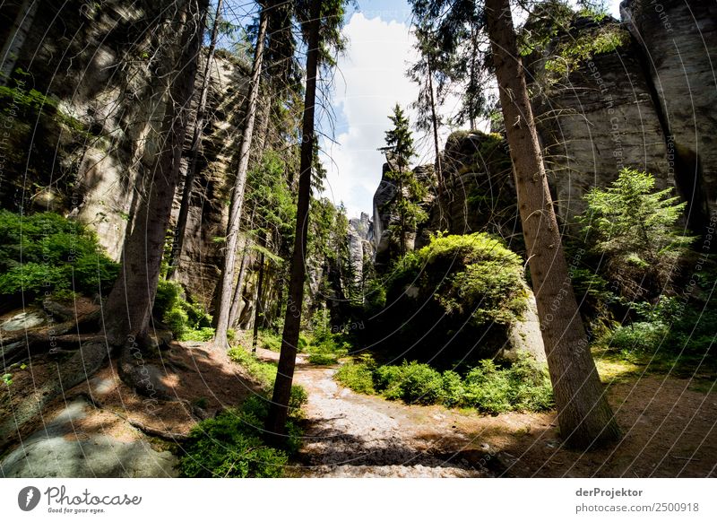 In der Adersbach-Weckelsdorfer Felsenstadt Ferien & Urlaub & Reisen Tourismus Ausflug Abenteuer Ferne Freiheit Berge u. Gebirge wandern Umwelt Natur Landschaft