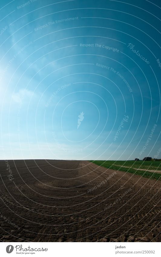 agrikultur Kunst Kunstwerk Landschaft Erde Sand Himmel Schönes Wetter Feld Dorf Traktor Linie rund blau braun Symmetrie Spuren Reifenprofil Kurve Eindruck