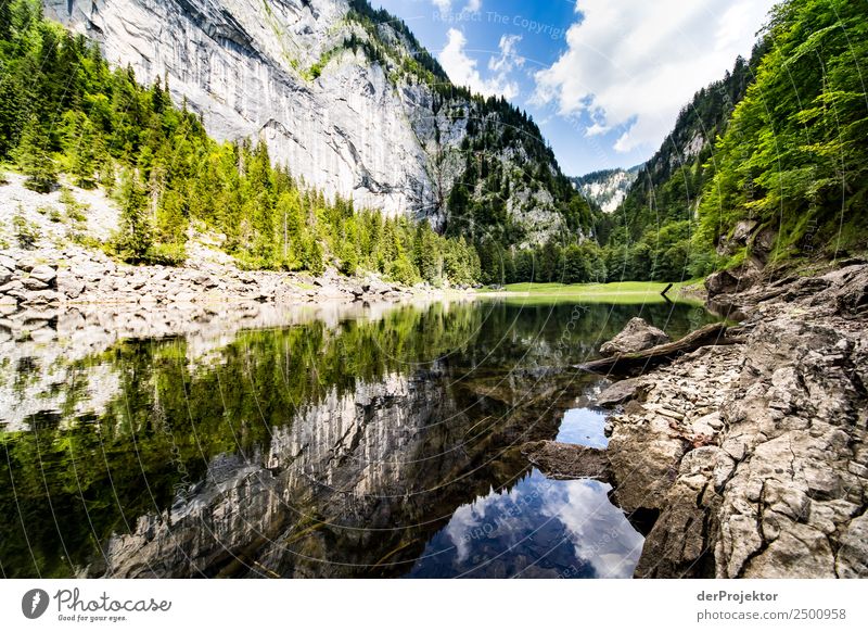 Spiegelung am Kammersee Ferien & Urlaub & Reisen Tourismus Ausflug Abenteuer Freiheit Sommerurlaub Berge u. Gebirge wandern Umwelt Natur Schönes Wetter Felsen