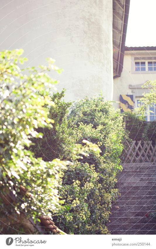 Gutshaus Sträucher Haus Einfamilienhaus Traumhaus Mauer Wand Treppe Fassade natürlich grün Farbfoto Außenaufnahme Menschenleer Textfreiraum links