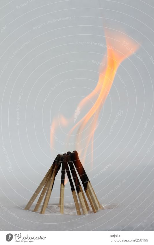 züngeln Feuer Holz stehen heiß Beratung Gesellschaft (Soziologie) Team Teamwork Vergänglichkeit Zusammenhalt Streichholz Brand Flamme brennen Feuerstelle