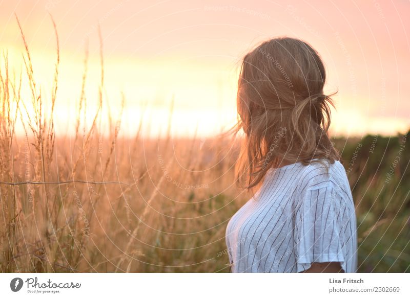 Sonnenuntergang, Feld Ferien & Urlaub & Reisen Frau Erwachsene 1 Mensch 18-30 Jahre Jugendliche Umwelt Natur Sonnenaufgang Schönes Wetter Sträucher