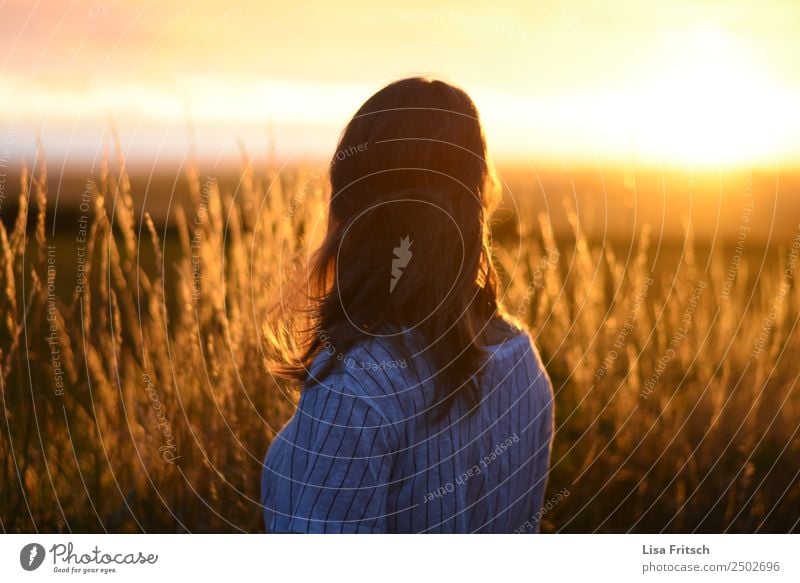 Sonnenuntergang, Rückenansicht Frau, Feld Ferien & Urlaub & Reisen Tourismus Sommer Sommerurlaub Junge Frau Jugendliche 1 Mensch 18-30 Jahre Erwachsene Umwelt