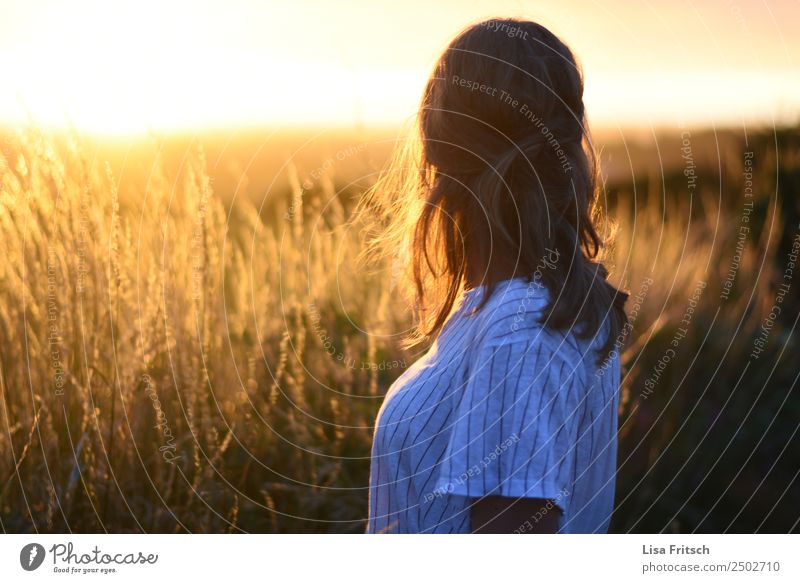 Sonnenuntergang, Frau, Feld Ferien & Urlaub & Reisen Tourismus Ferne Sommerurlaub Junge Frau Jugendliche 1 Mensch 18-30 Jahre Erwachsene Umwelt Natur Landschaft