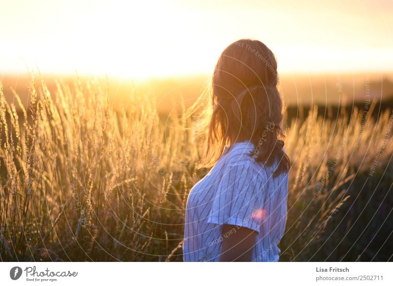 Sonnenuntergang Ferien & Urlaub & Reisen Tourismus Frau Erwachsene 1 Mensch 18-30 Jahre Jugendliche Umwelt Natur Schönes Wetter Sträucher Feld blond langhaarig