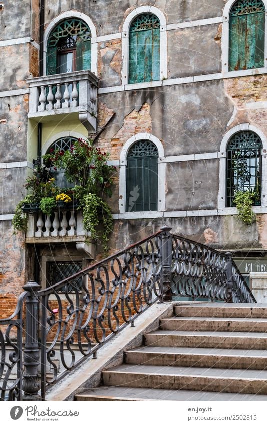 romantisch Ferien & Urlaub & Reisen Sightseeing Städtereise Sommerurlaub Topfpflanze Venedig Italien Europa Stadt Altstadt Brücke Mauer Wand Treppe Fassade