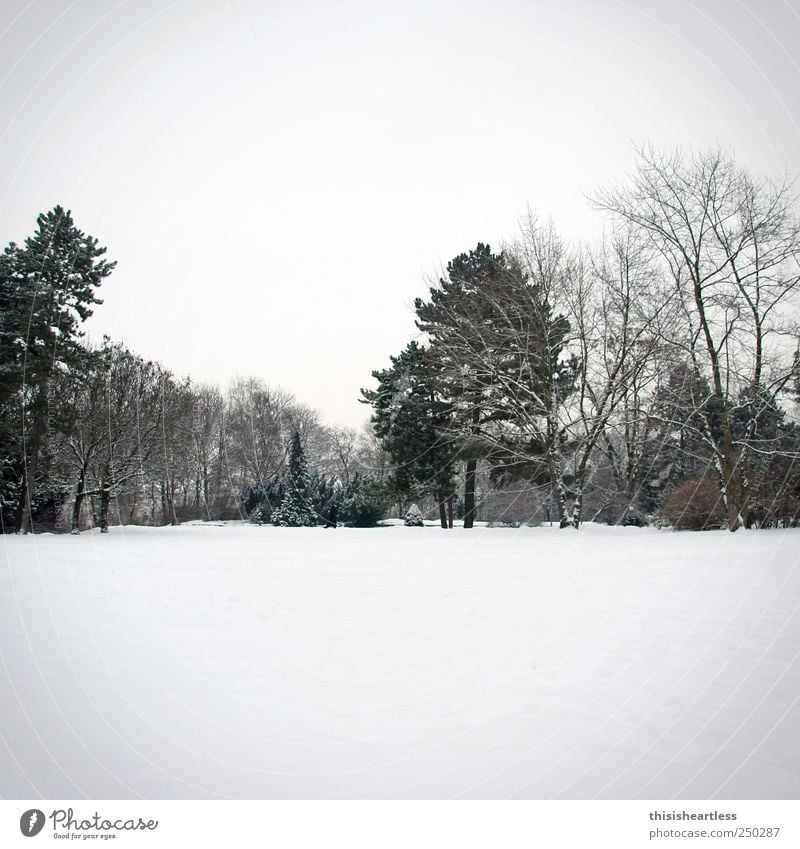 ...und die Tage werden wieder kürzer! Ausflug Freiheit Schnee Winterurlaub Skipiste Natur Landschaft Himmel Horizont Baum Sträucher Park Wiese Wege & Pfade