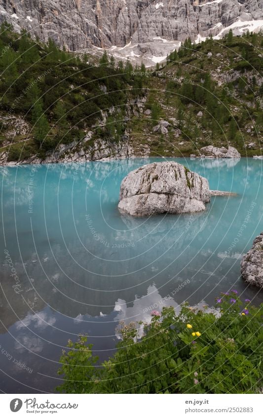 Gletscherwasser Ferien & Urlaub & Reisen Sommerurlaub Berge u. Gebirge Natur Landschaft Frühling Blume Felsen Alpen Dolomiten Seeufer Italien türkis Abenteuer