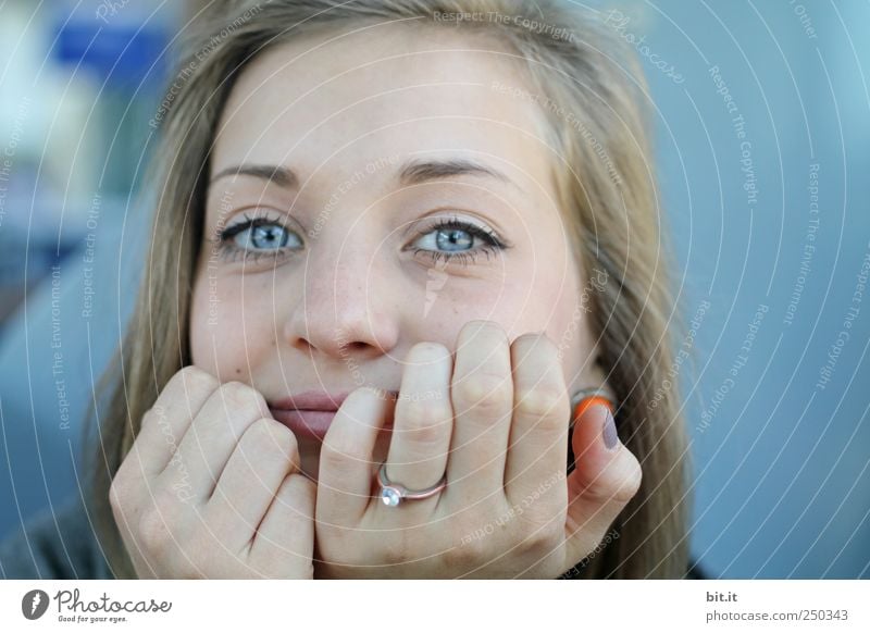 Blau. schön Haut Gesicht Bildung Erwachsenenbildung Berufsausbildung Azubi Student feminin Junge Frau Jugendliche 1 Mensch festhalten Lächeln Blick Glück