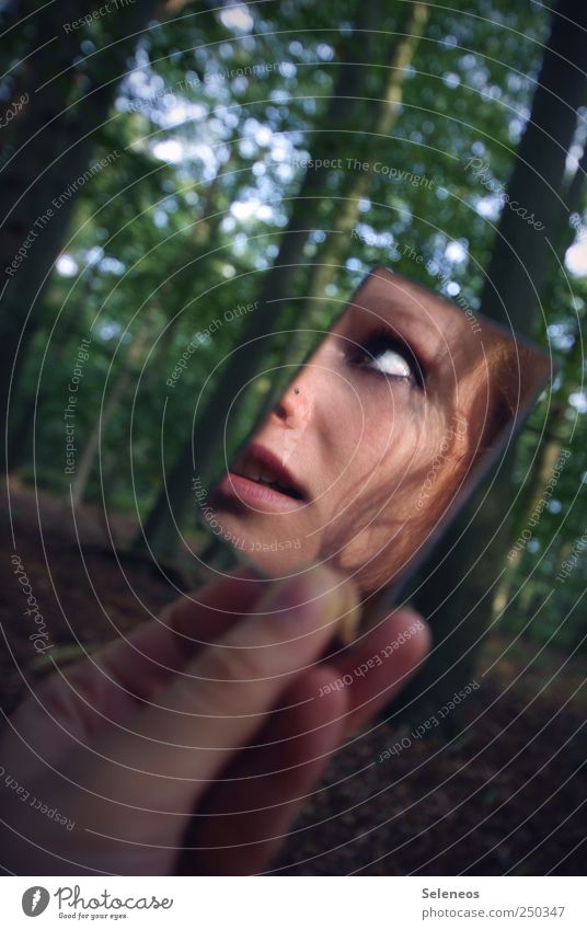 ich hab dich in der Hand Ausflug Mensch feminin Kopf Haare & Frisuren Gesicht Auge Mund Finger 1 Umwelt Natur Pflanze Baum Wald Locken beobachten Blick Spiegel