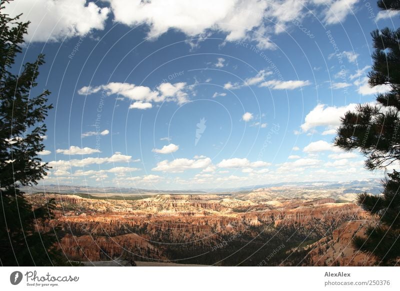 Bryce Canyon für faule Wanderer Ausflug Ferne Sightseeing Himmel Wolken Horizont Schönes Wetter Baum Wald Felsen Berge u. Gebirge Schlucht