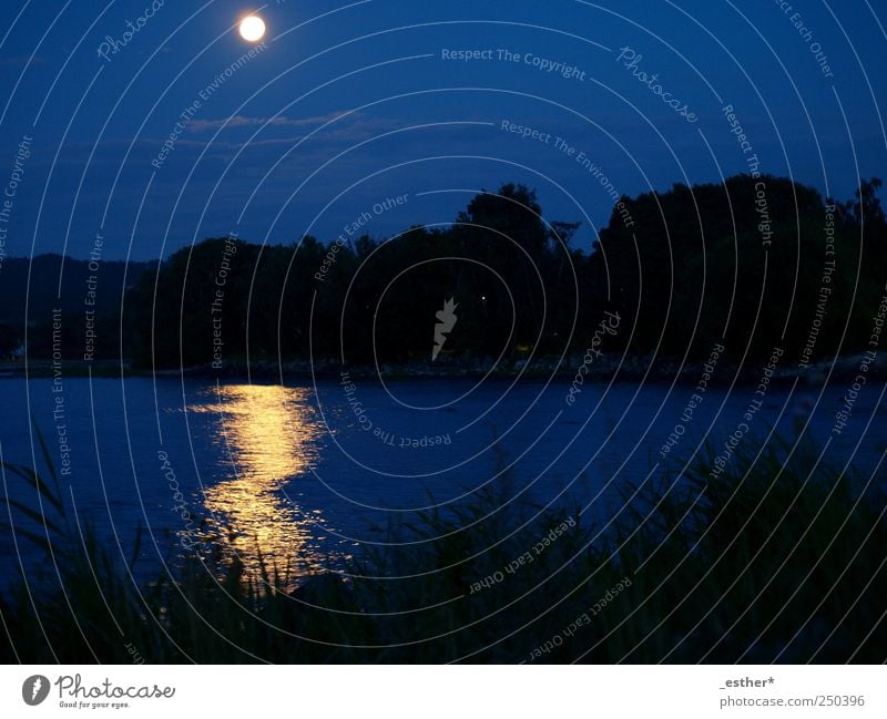 shining sea Freiheit Meer Natur Wasser Nachthimmel Horizont Mond Vollmond Küste Ostsee blau ruhig Farbfoto Außenaufnahme Menschenleer Silhouette