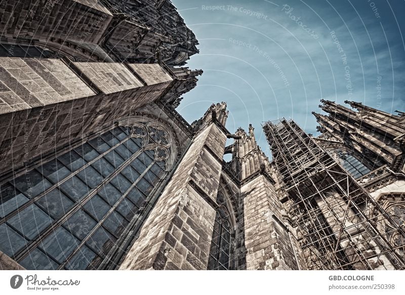 DOMinanter Aufblick | Kölner Dom Tourismus Sightseeing Städtereise Schönes Wetter Stadtzentrum Menschenleer Kirche Fassade Fenster Sehenswürdigkeit Wahrzeichen