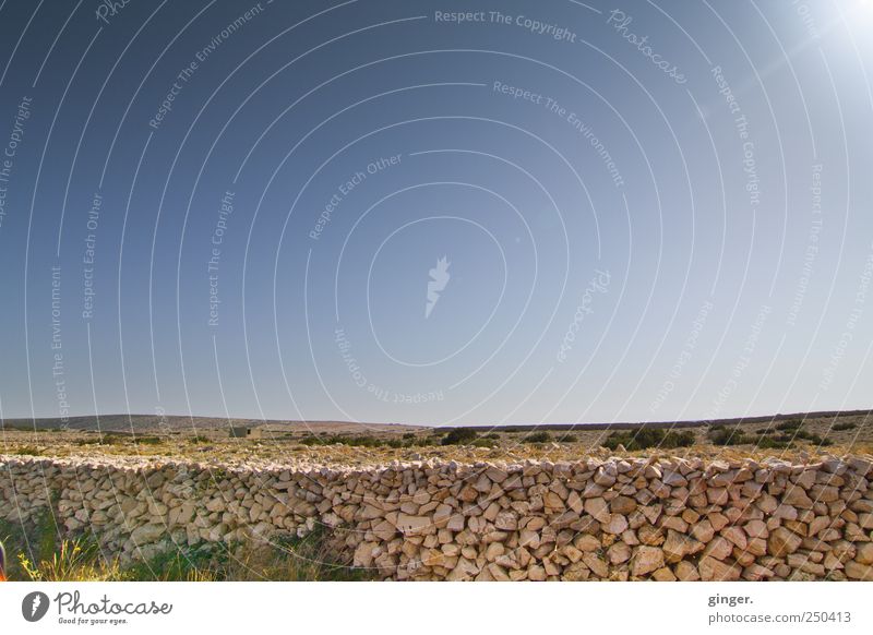 Pager Sommer Umwelt Natur Landschaft Erde Sand Wolkenloser Himmel Sonnenlicht Klima Wetter Schönes Wetter Sträucher Insel schön ruhig karg wenig bewachsen Stein