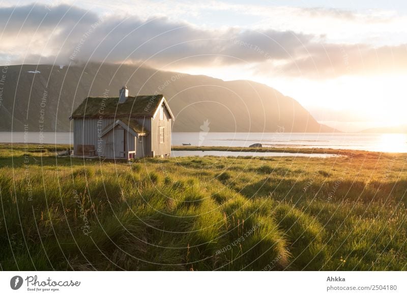 Traumhütte in Mitternachtssonne am Fjord Ferien & Urlaub & Reisen Abenteuer Ferne Sonnenaufgang Sonnenuntergang Meer Polarmeer Norwegen Traumhaus Hütte Erholung