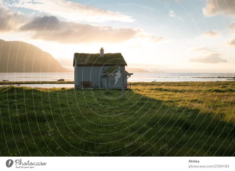 A place to be ... Traumhütte am Strand in Norwegen Ferien & Urlaub & Reisen Abenteuer Landschaft Sommer Bucht Fjord Mitternachtssonne Polarmeer Hütte Glück