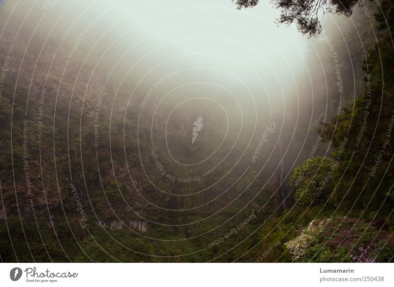 la fontaine Natur Landschaft Urelemente schlechtes Wetter Nebel Wald Berge u. Gebirge Schlucht ästhetisch außergewöhnlich dunkel gigantisch kalt natürlich schön