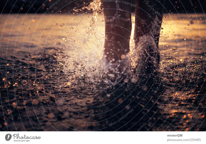 feeling summer. Natur ästhetisch rein berühren Wasser Wasserspritzer Sommer Freibad laufen rennen Freude Partikel tauchen Leben Wasseroberfläche Meer Meerwasser