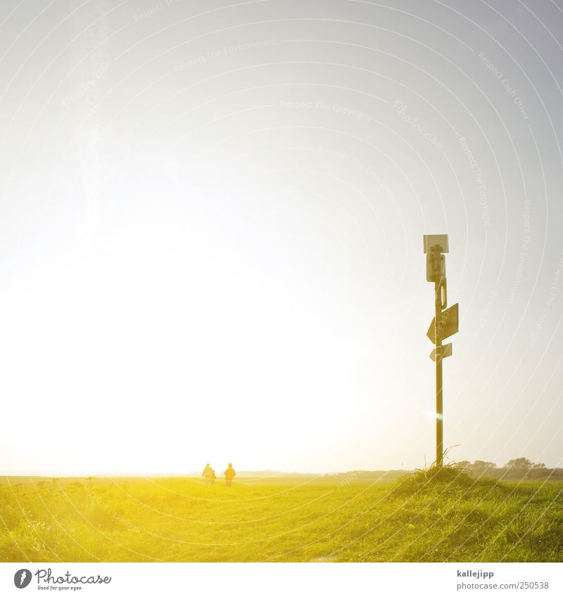 into the silence wandern Mensch 3 Umwelt Natur Landschaft Pflanze Tier Erde Luft Himmel Wolkenloser Himmel Horizont Sonnenaufgang Sonnenuntergang Sommer Klima