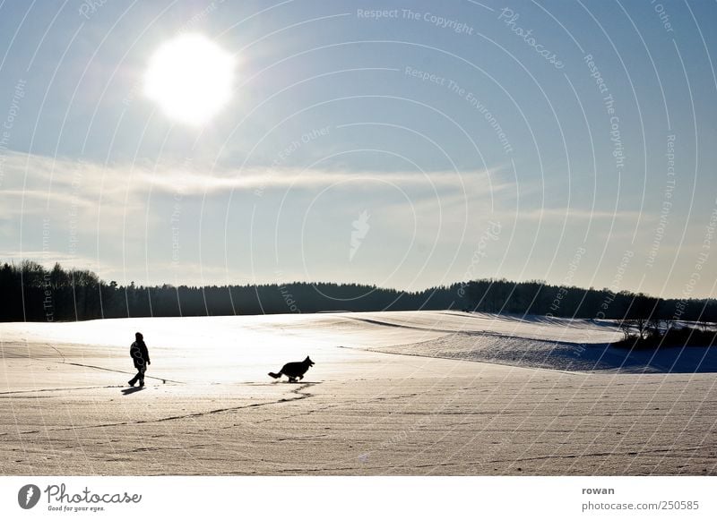 winterspaziergang Wohlgefühl Erholung Spielen Ausflug Winter Schnee Winterurlaub wandern Mensch maskulin Mann Erwachsene 1 Landschaft Wolkenloser Himmel Sonne