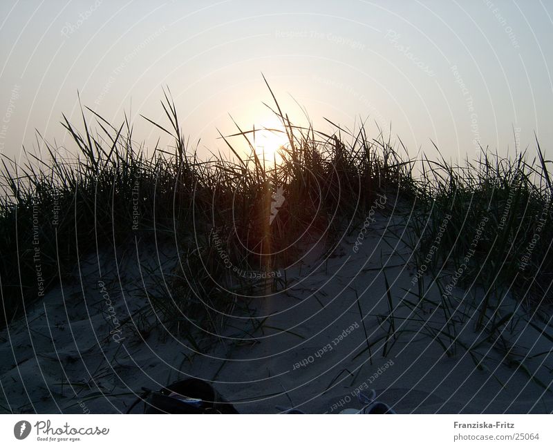 Der Tag am Meer Strand Dämmerung Zusammensein Licht Sonne Sand Romatik Wasser Wind Natur