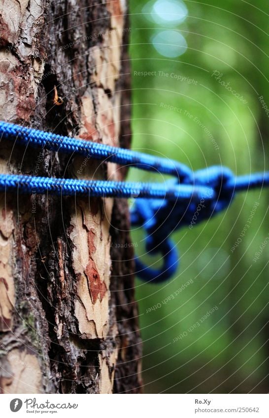 Der Kletterwald... Freizeit & Hobby Abenteuer Berge u. Gebirge Klettern Bergsteigen Natur Erde Schönes Wetter Baum bauen entdecken seilhüpfen toben lustig