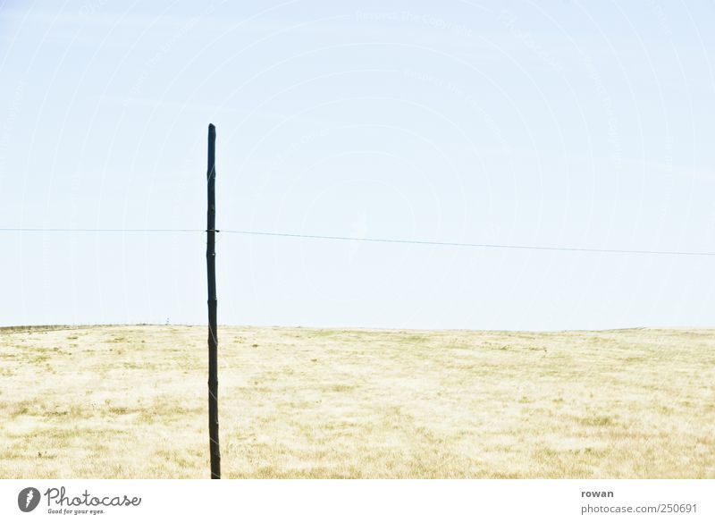 _|___ Natur Landschaft Sommer Schönes Wetter Wiese Feld heiß hell Kabel Strommast Holzpfahl Linie Gras Grasland Alentejo Farbfoto Außenaufnahme Menschenleer