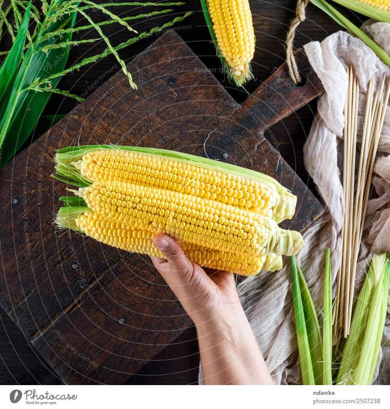 Hand hält drei reife gelbe Kolben. Gemüse Ernährung Vegetarische Ernährung Tisch Natur Pflanze Blatt Holz alt frisch natürlich oben braun gold grün Mais