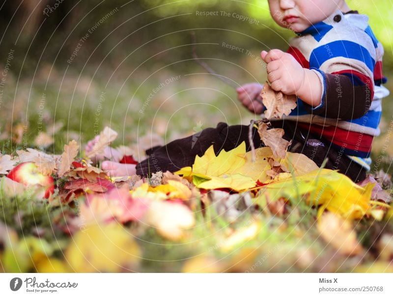 Fipsi hat Spaß Mensch Baby Kleinkind Kindheit 1 0-12 Monate 1-3 Jahre Natur Schönes Wetter Gras Blatt Park sitzen mehrfarbig gelb Gefühle Freude Fröhlichkeit