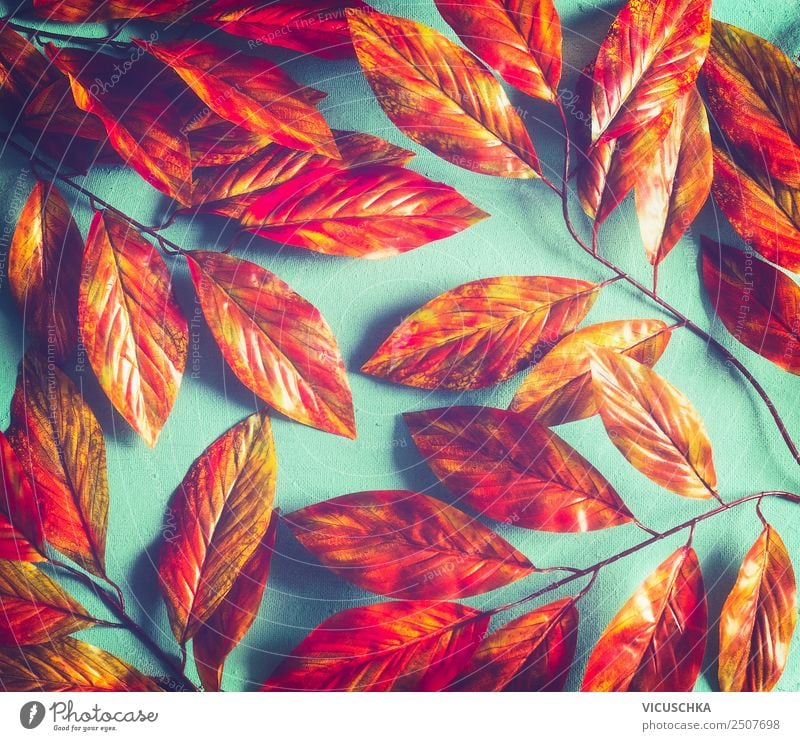 Leuchtend orange rot Herbstlaub Pattern Stil Design Erntedankfest Natur Pflanze Blatt Garten Park Ornament trendy gelb Hintergrundbild Entwurf türkis pattern