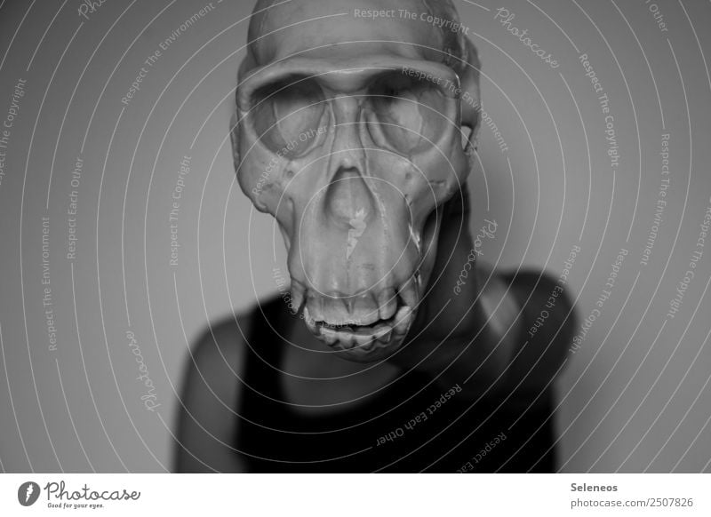 Vorfahre Halloween Mensch 1 Schädel Tierschädel Skelett gruselig Tod Todesangst Anatomie Vorfahren Schwarzweißfoto Innenaufnahme Oberkörper Vorderansicht