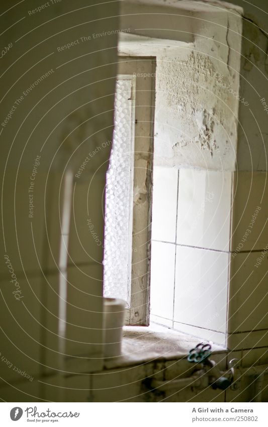 Gäste sind immer willkommen Haus Mauer Wand Fenster Wasserhahn Fliesen u. Kacheln Putz Toilettenpapier Fensterbrett alt schäbig dreckig schmuddelig beige