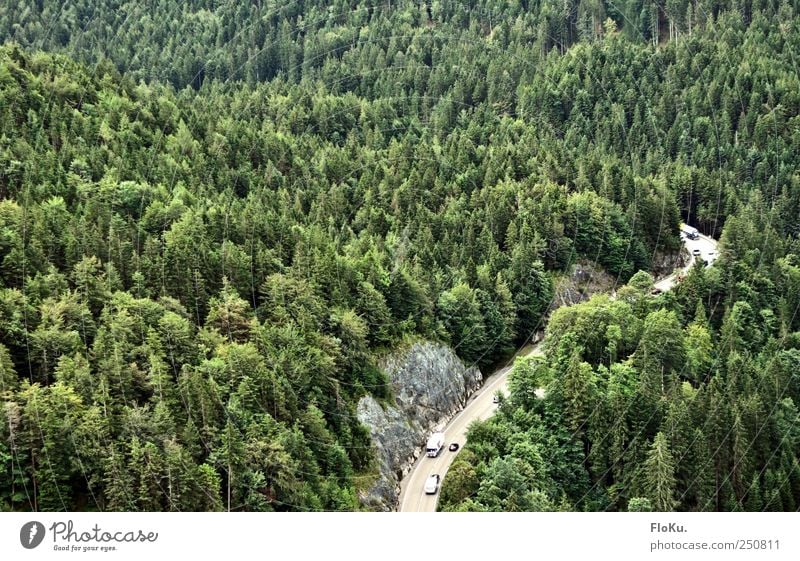 Fernpass Umwelt Natur Landschaft Pflanze Baum Wald Berge u. Gebirge Verkehr Verkehrswege Straßenverkehr Autofahren grün Tourismus Nadelwald fernpass Österreich