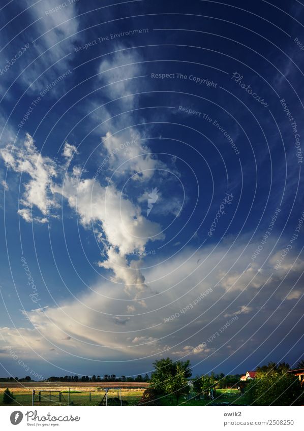 Nach dem Gewitter Umwelt Natur Landschaft Pflanze Luft Himmel Wolken Horizont Sommer Klima Schönes Wetter Baum Gras Sträucher Dorf Haus Ferne gigantisch groß