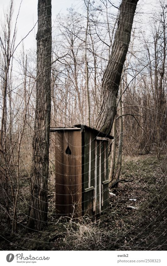 Notfallkoffer Umwelt Natur Landschaft Wolkenloser Himmel Schönes Wetter Pflanze Baum Sträucher Ast Baumstamm Wald Toilette Hütte Holz alt einfach natürlich