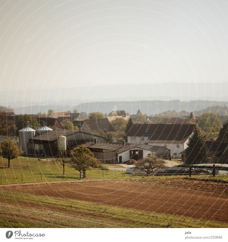 CHAMANSÜLZ | kleines örtle Landwirtschaft Forstwirtschaft Umwelt Natur Landschaft Pflanze Himmel Baum Gras Grünpflanze Nutzpflanze Feld Dorf Haus