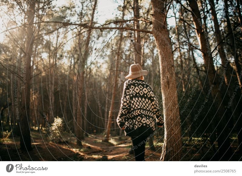 Junge Frau beim Spaziergang im Wald Lifestyle Freude schön Freizeit & Hobby Ferien & Urlaub & Reisen Abenteuer wandern Mensch feminin Jugendliche Erwachsene 1