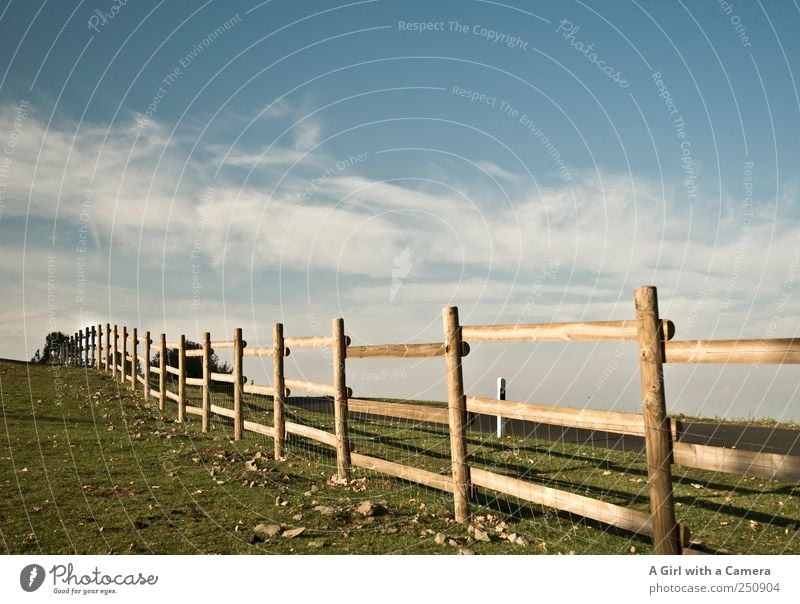 stretch Umwelt Natur Landschaft Himmel Wolken Wetter Schönes Wetter Wind Gras Feld blau gelb Idylle natürlich ländlich Schleier Zaun quer Bayrische Rhön