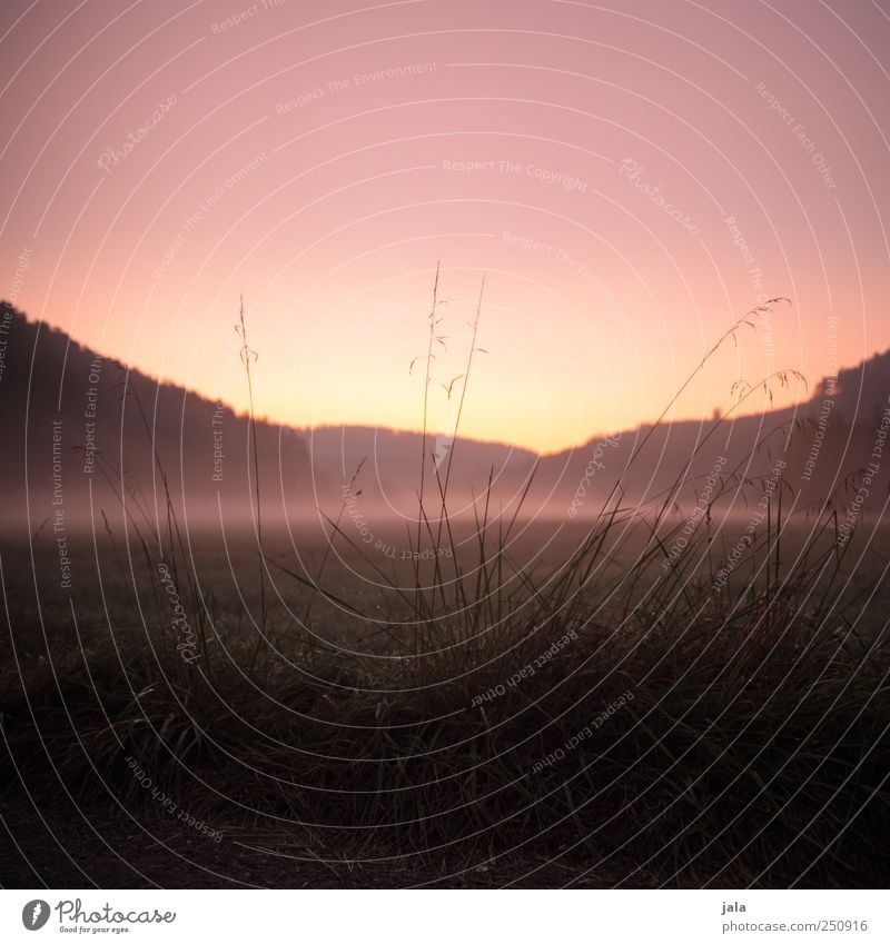 CHAMANSÜLZ | morgenhimmel Umwelt Natur Landschaft Pflanze Himmel Sonnenaufgang Sonnenuntergang Herbst Nebel Baum Gras Feld Berge u. Gebirge natürlich schön