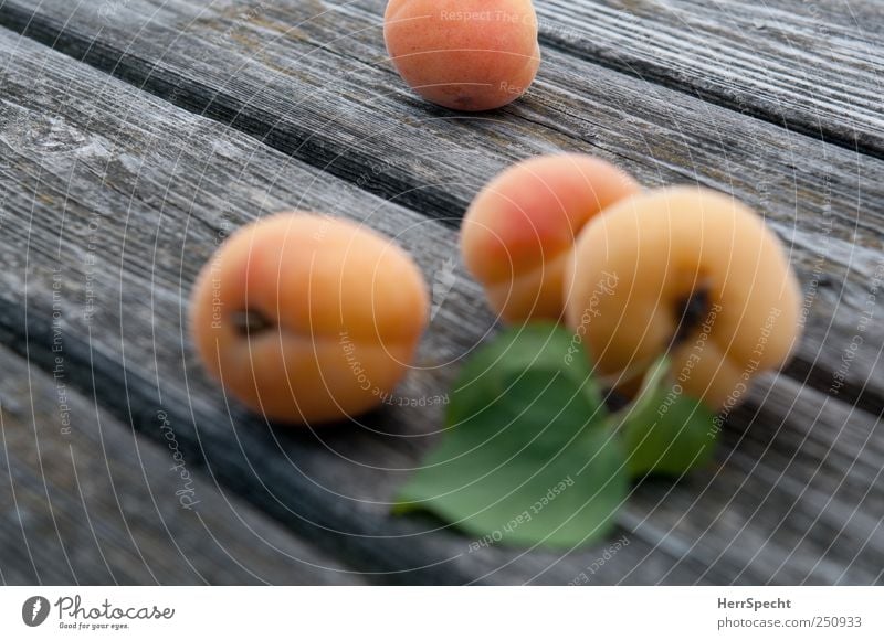 Späte Früchte Frucht Holz frisch Gesundheit Aprikose Marille Ernte Schwarzweißfoto Außenaufnahme Nahaufnahme Schwache Tiefenschärfe