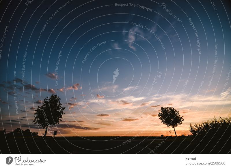 Sommerabend Wohlgefühl Zufriedenheit Sinnesorgane Erholung ruhig Freizeit & Hobby Ausflug Abenteuer Ferne Freiheit Natur Landschaft Himmel Wolken Schönes Wetter