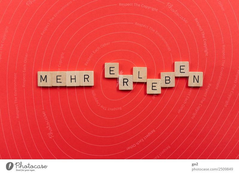 Mehr erleben Lifestyle kaufen Freude Freizeit & Hobby Spielen Brettspiel Scrabble Abenteuer Freiheit Sommer Sommerurlaub Nachtleben Party Veranstaltung ausgehen