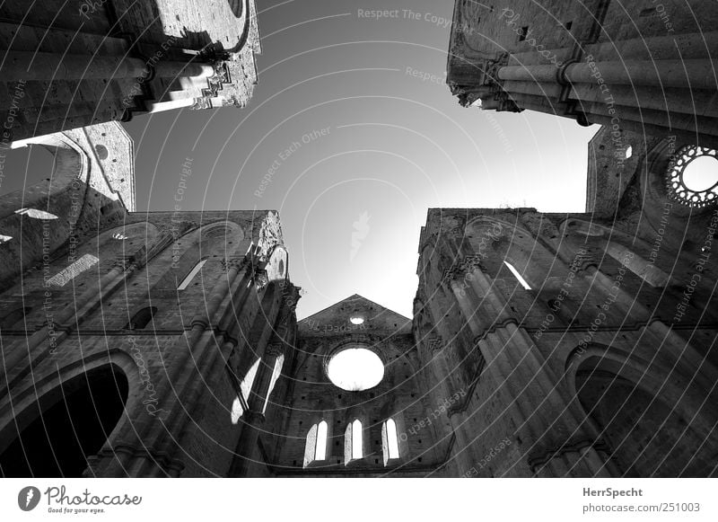 San Galgano Himmel Wolkenloser Himmel Kirche Ruine Gebäude Mauer Wand Sehenswürdigkeit dunkel historisch schön ästhetisch Klosterkirche erhaben Weitwinkel